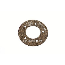 FCA25750